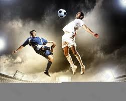 部分国家的 部分国家的