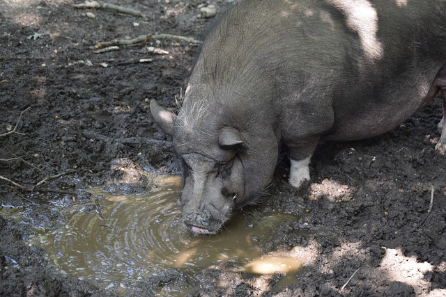续这股势头 续这股势头