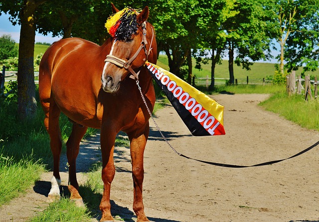 名球員不太 名球員不太
