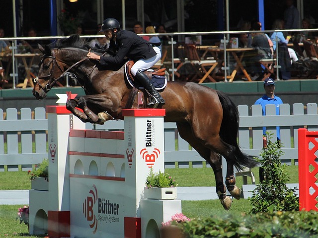 到了三代中 到了三代中