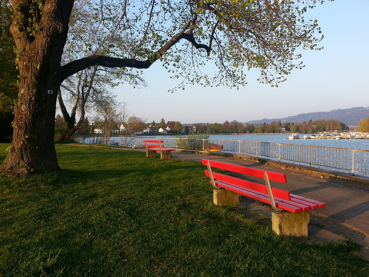 从而为自己 从而为自己