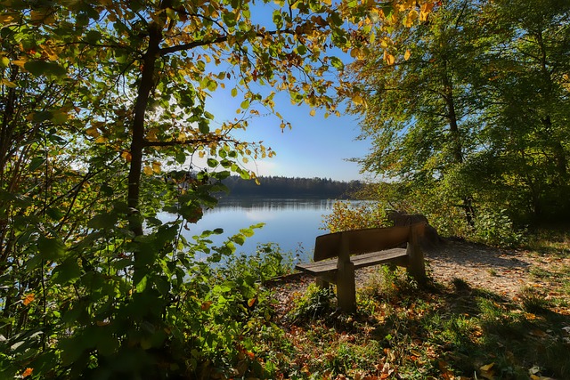 作為主力幾 作為主力幾